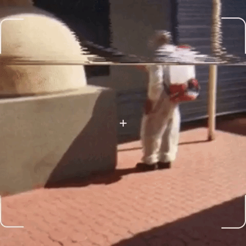 Animated GIF-downsized_large (4)