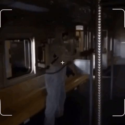 Animated GIF-downsized_large