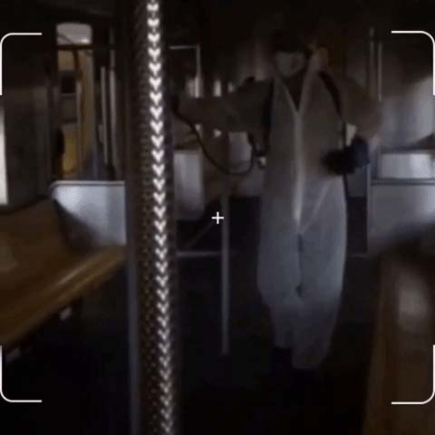 Animated GIF-downsized_large